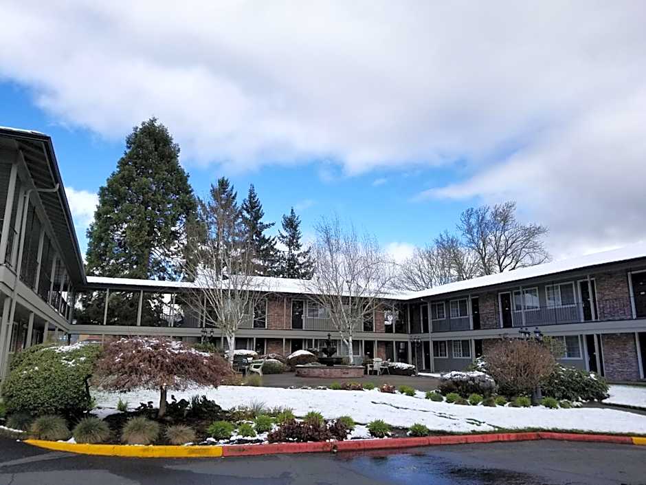 Village Inn
