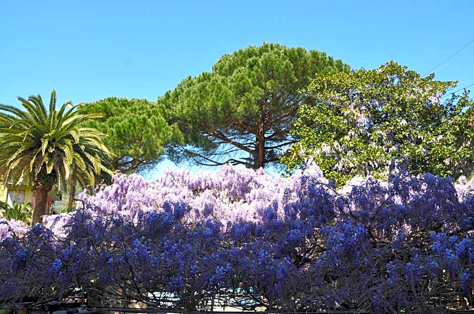 Hotel Residence Moneglia