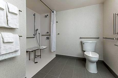 Standard King Room with Mobility Accessible Roll-In Shower