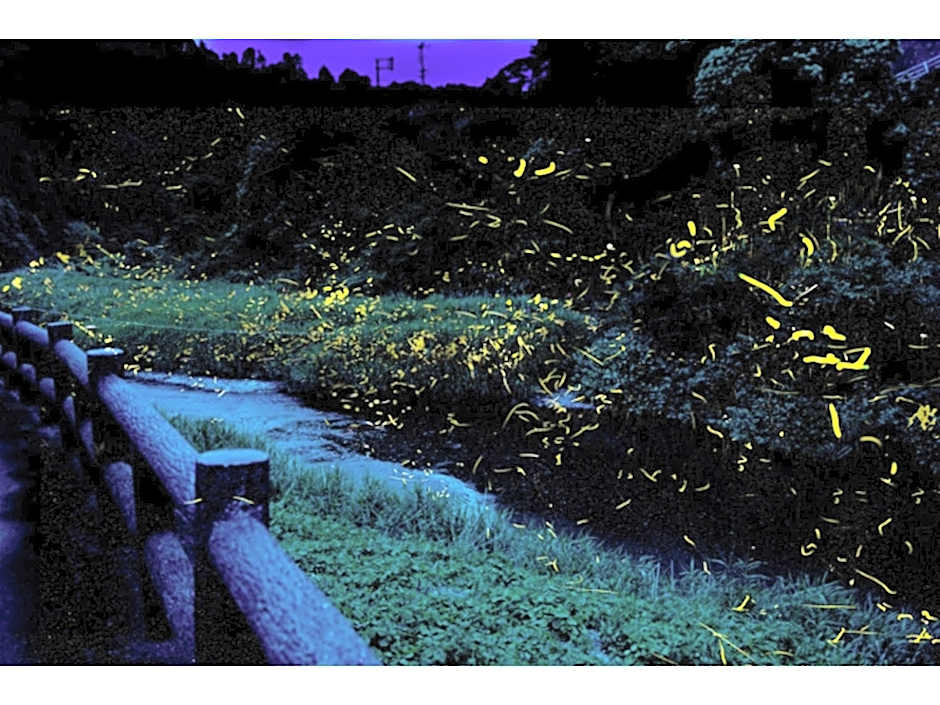 Misato no Yu Kajikaso - Vacation STAY 22199v