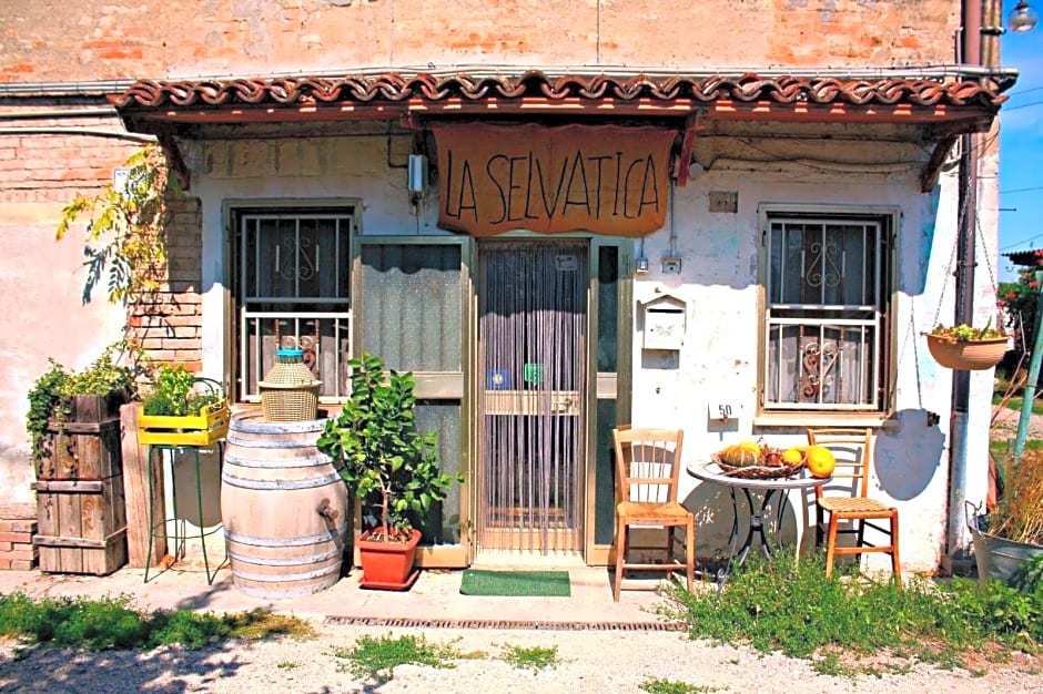 Selvatica50 B&B