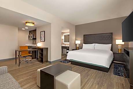 1 King Bed Studio Suite Nonsmoking