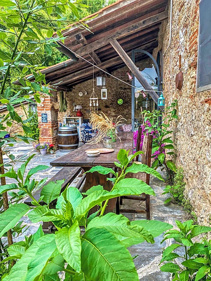 Guest House Antico Frantoio Pietrasanta Affittacamere