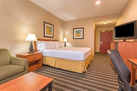 Standard King Room with Sofa Bed - Non-Smoking
