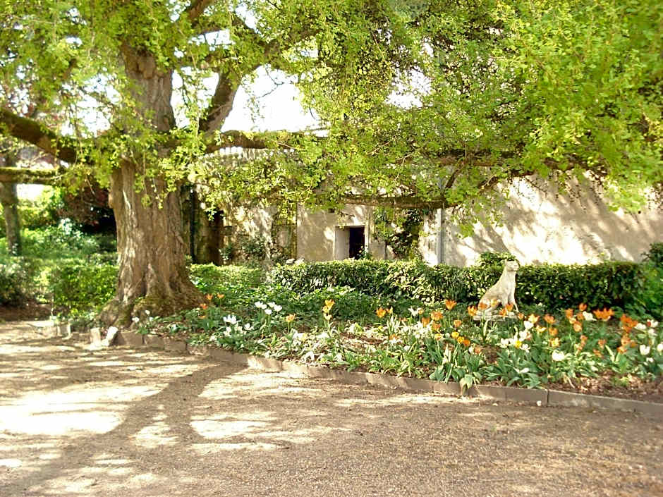 Domaine de Planchoury