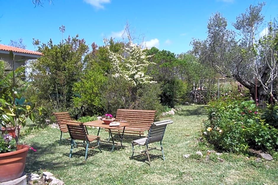 Il Vecchioliveto di Ornella