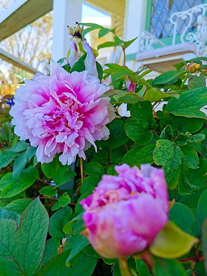 Country Villa Estate