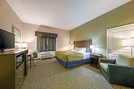1 King Bed, Nonsmoking, Accessible