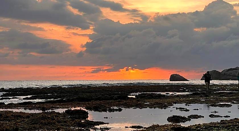 Curry Bowl Restaurant & Turtles Rest