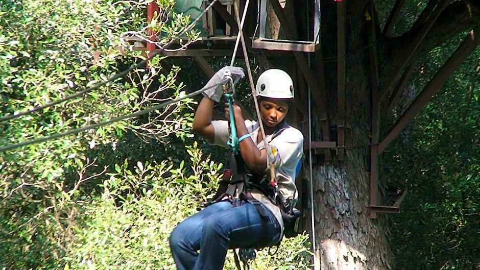 Storms River Guest Lodge