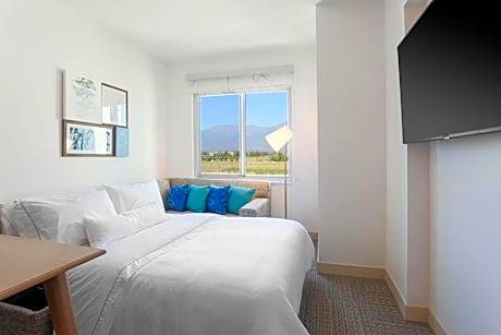 1 Bedroom Suite, 1 King, Sofa bed