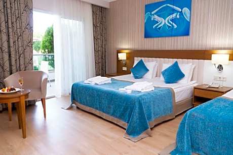 Double or Twin Room with Land View