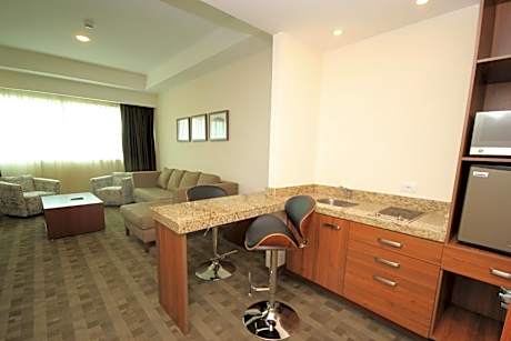 One-Bedroom King Suite