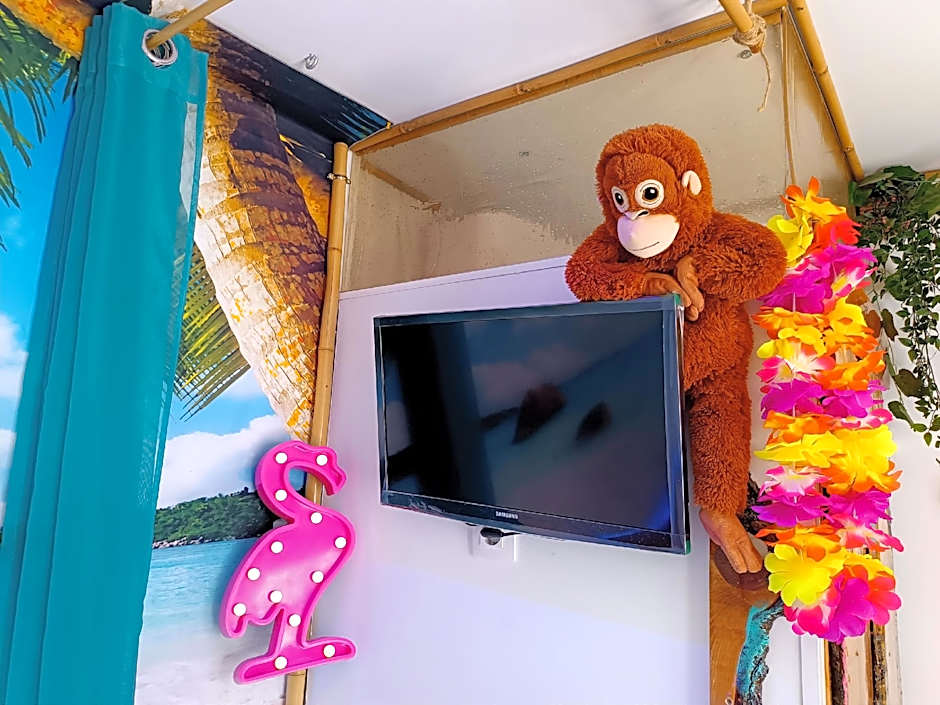 Wonder Room Paraiso Magico Habitacion