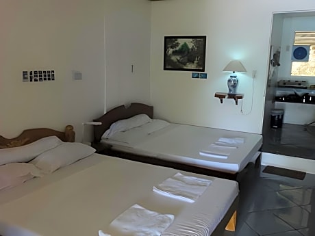 Sea Turtle Watch Room