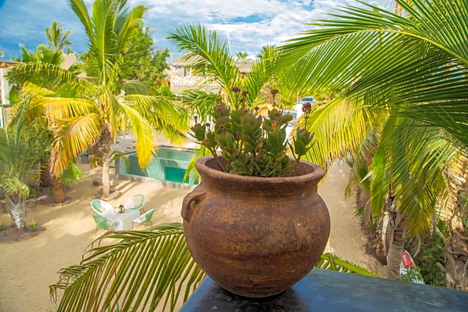 Pure Baja Private Suites-Upscale Property with Infinity Pool and Lush Gardens