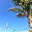 Villiana Holiday Apartments