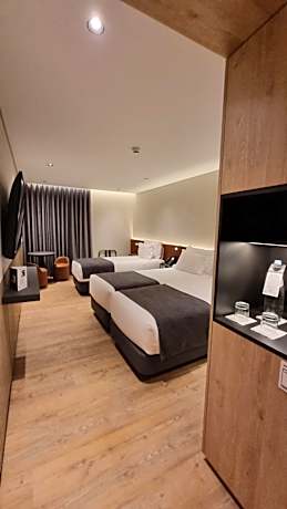 Hotel Principe Avila