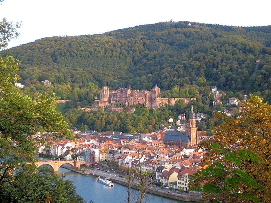 Neu Heidelberg - Guesthouse & Apartments