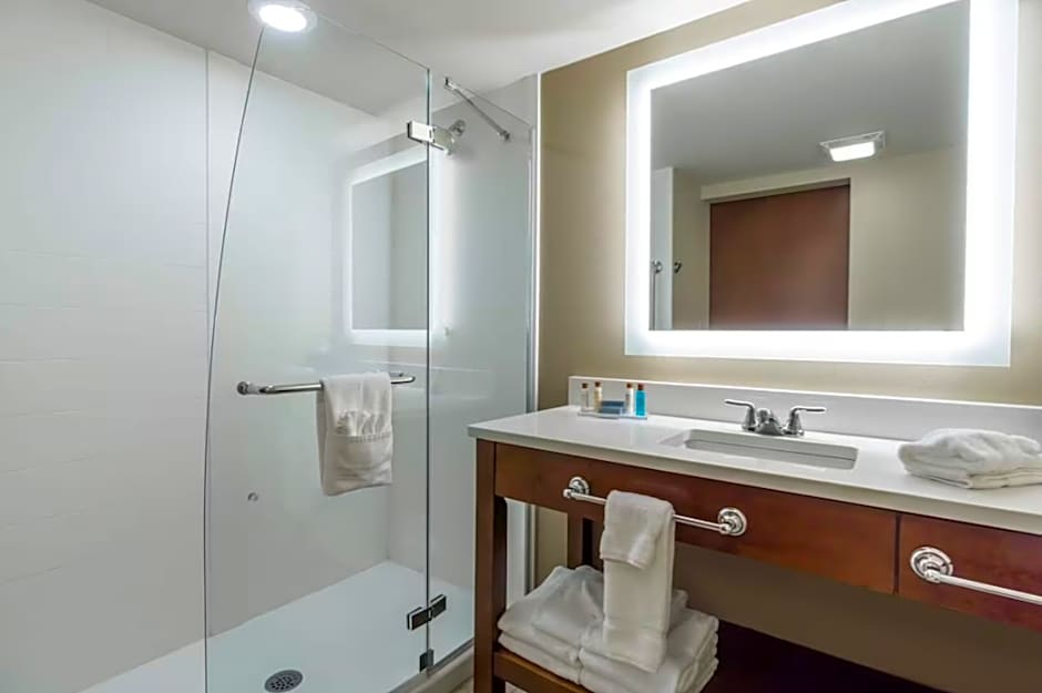 Photo 1 of 6 of Deluxe 1 King Bed Suite