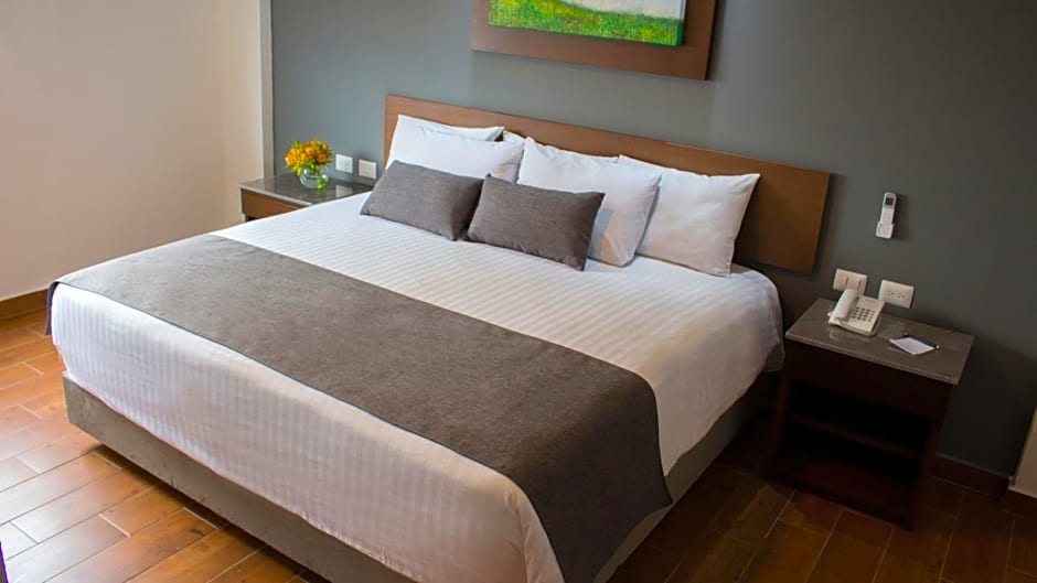 Eco Hotel Guadalajara Expo