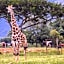 Caracal Lodge