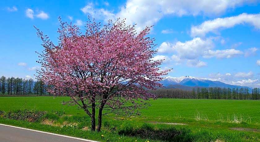 Guesthouse Canterbury