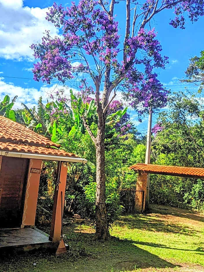 Casa das Irmãs - Só Mulheres - Women Only