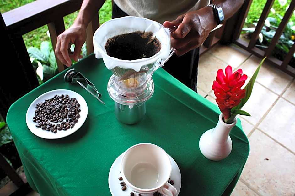 Finca Hamburgo La Ruta del Cafe