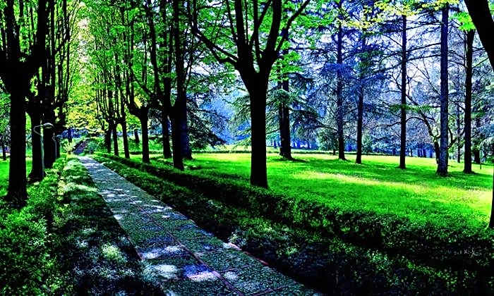 Hotel Terme