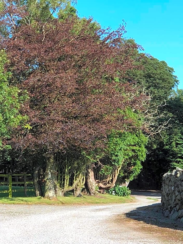 Woodland Shepherds Hut - 'Saga'
