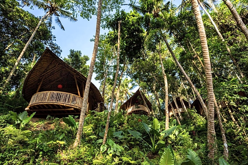 Bamboo Turtles Ecolodge