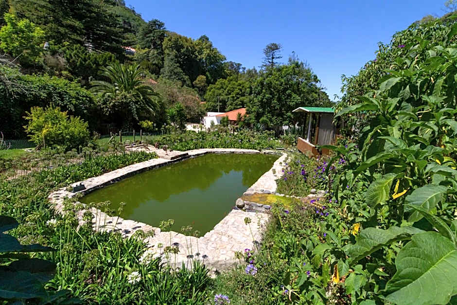 Quinta Das Murtas B&B