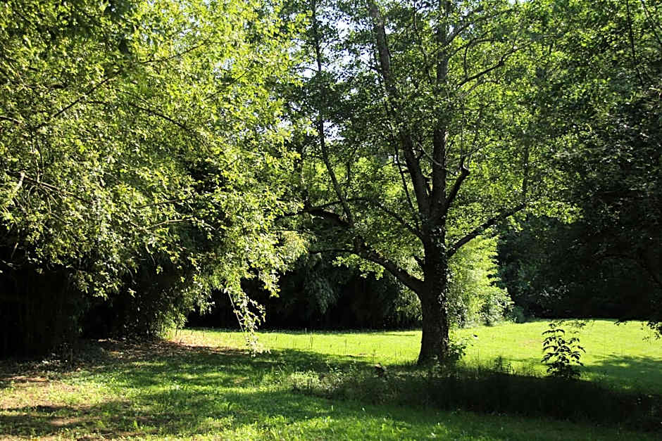 Au Petit Bernerot - Les gîtes de l'Arbre Voyageur