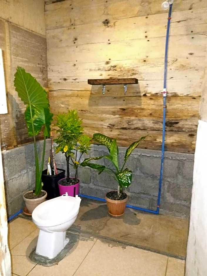 sharkbunkbed siargao