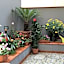 B&B Civico Cinque