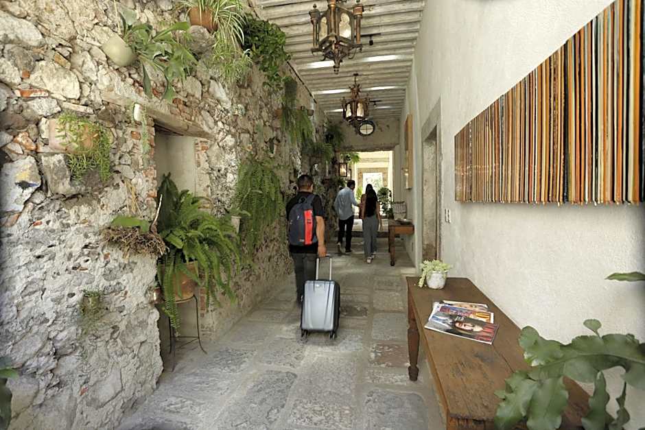 Orchid House San Miguel de Allende