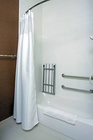 Studio with King Bed and Sofa Bed