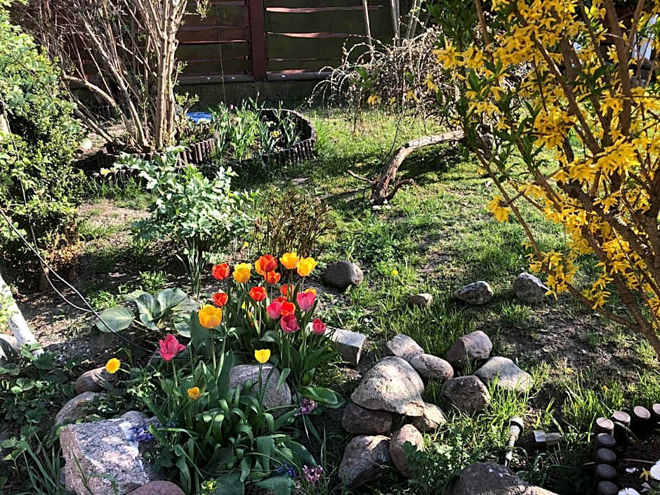 Villa Aida pokoje gościnne