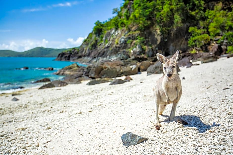 Daydream Island Resort