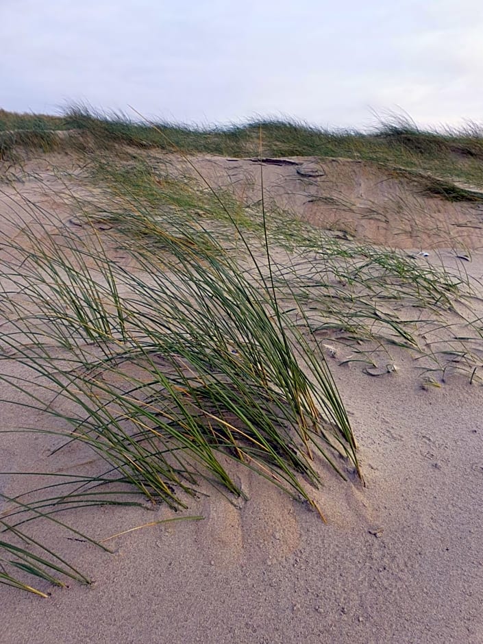 B&B De Sering Texel