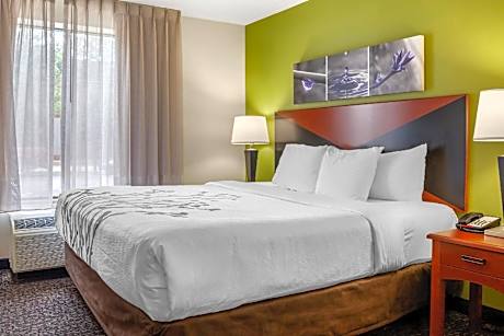 1 King Bed, Suite, Nonsmoking