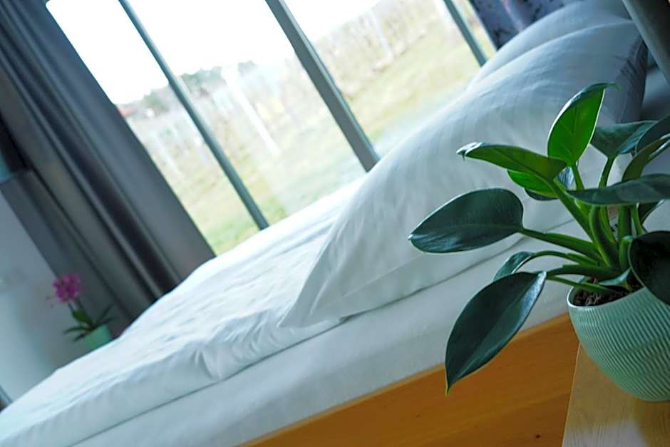 Walters Weinquartier