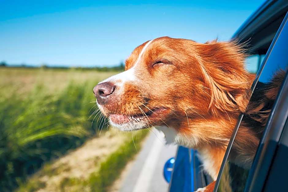 Days Inn & Suites by Wyndham Gonzales TX