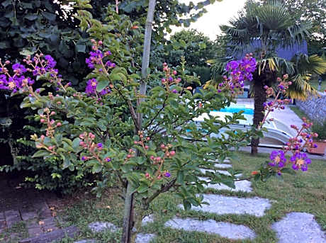 Demeure d'hôtes Les Irisynes