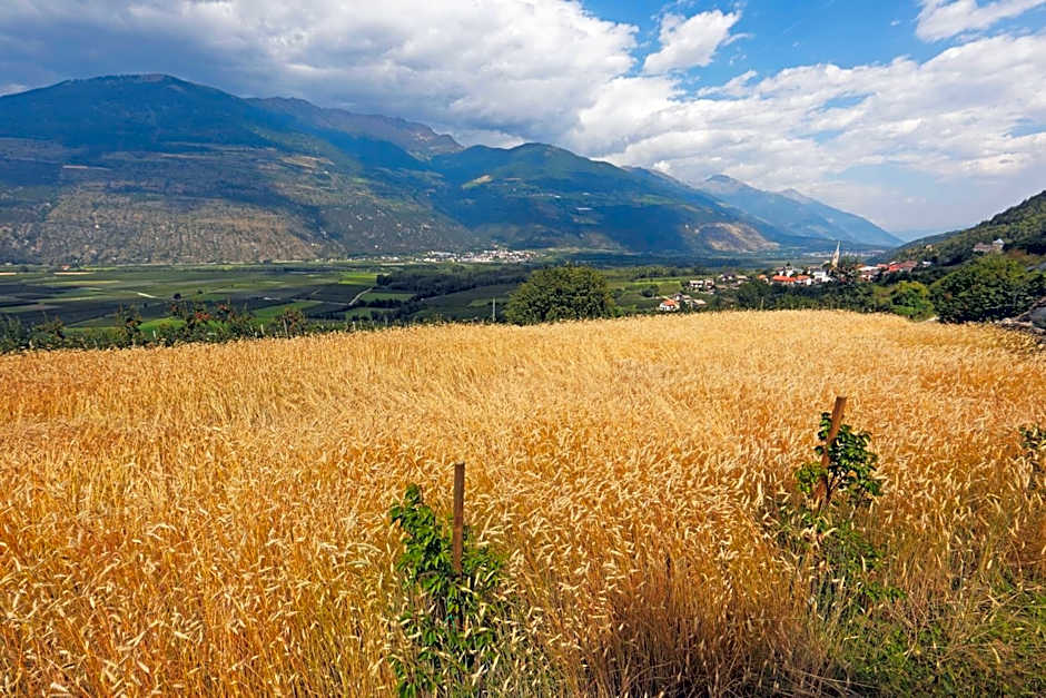 Pension & Residence Astoria