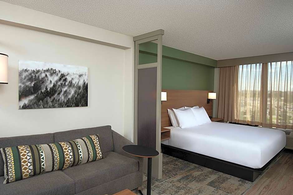 Photo 1 of 5 of 1 King Bed with Sofabed, High Floor