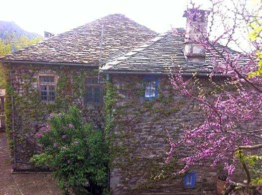 Saxonis Houses & Saxonis Villa