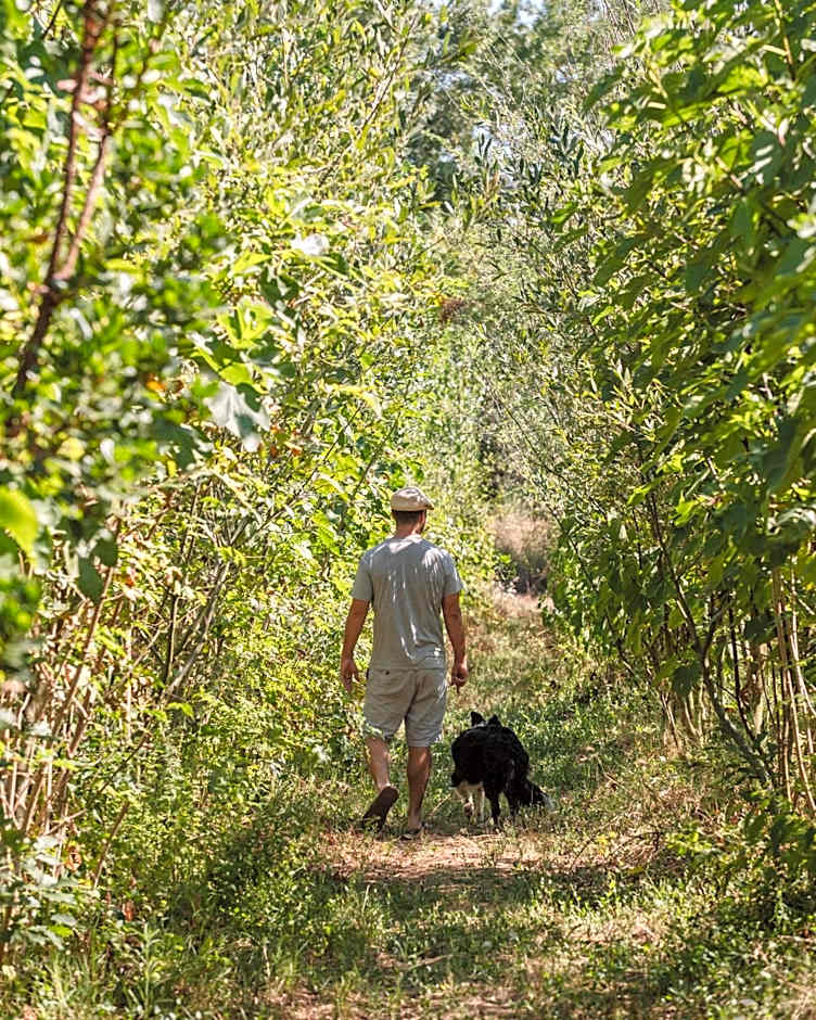 Gandum Village - Conscious Boutique Hotel