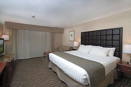 King Room with Sofa Bed